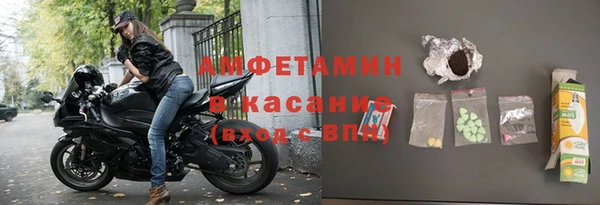 индика Новокубанск