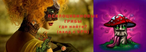 индика Новокубанск