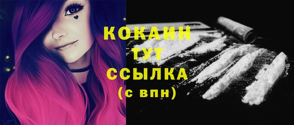 индика Новокубанск