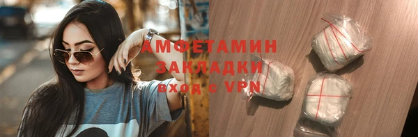 индика Новокубанск