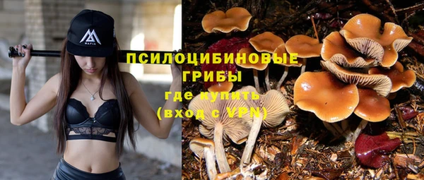 индика Новокубанск