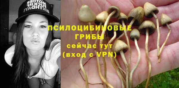 индика Новокубанск