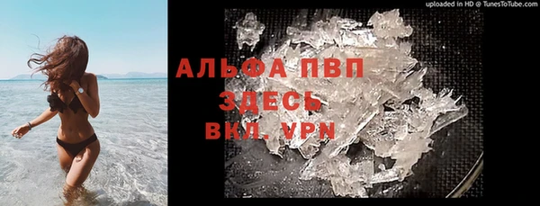 индика Новокубанск