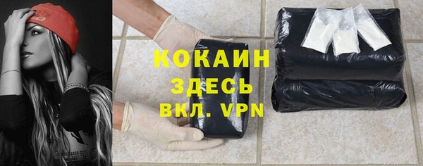 соль курить ск Новодвинск