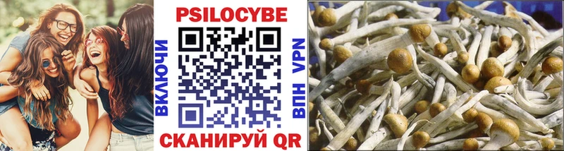 кракен зеркало  Оханск  Галлюциногенные грибы Psilocybine cubensis 